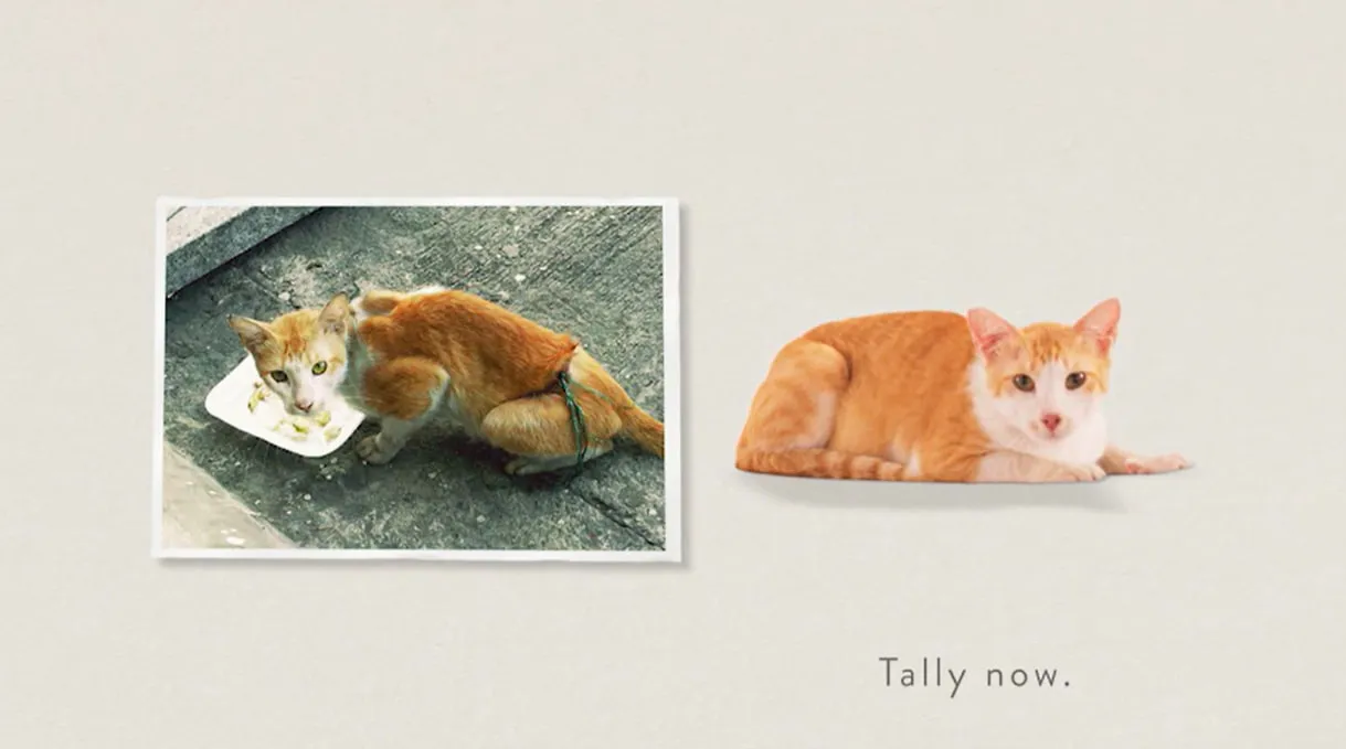 emotions advertisement